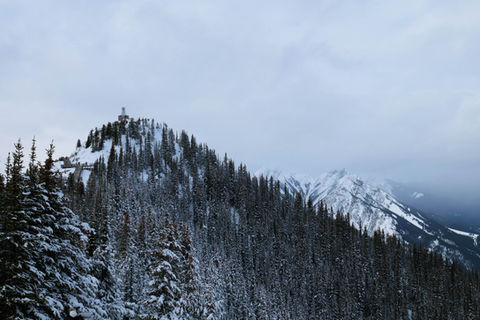 Horizontal documentary still